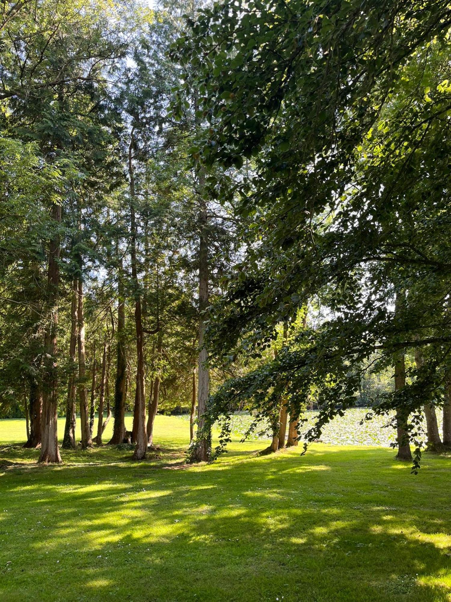 Bed and Breakfast Abbaye De Blanchelande Neufmesnil Екстер'єр фото